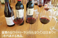 ���{�̃��C��