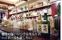 �V���O�������g