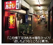 �u���̉����͂������ᔠ���Ђ�����Ԃ����悤�ȏ��v