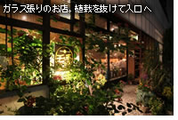 �����̊ŔB�����A�������Ƃ���Ƃ������������̂ł́H