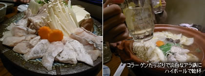 �R���[�Q�������Ղ�ŒW���ȃA����Ƀn�C�{�[���Ŋ��t