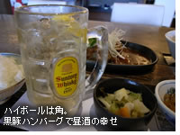 �p�n�C�{�[��