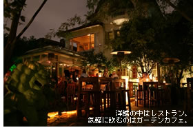 �m�ق̒��̓��X�g�����B�C�y�Ɉ��ނ̂̓K�[�f���J�t�F�B